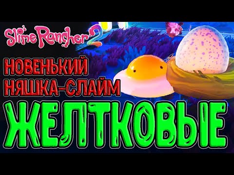 Видео: Слайм-Желток - ещё одна милота :з / Гордо Саблезубик / Slime Rancher 2 - Song of Sabers (Обновление)