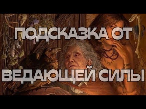 Видео: 🚨ПОДСКАЗКА ОТ ВЕДАЮЩЕЙ СИЛЫ🌚🔮🪬