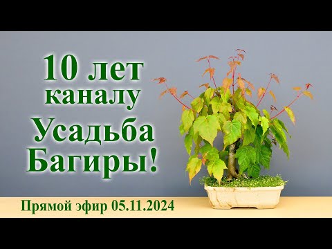 Видео: 10 лет каналу Усадьба Багиры!