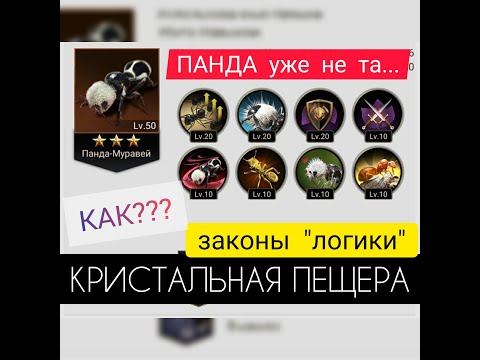 Видео: Панда!? Звёзды!? - не, не знаем... ОТЧЁТЫ боёв из кристальной пещеры. The Ants: Underground Kingdom