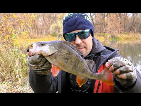 Видео: Ловили Судака, а Знайшли Окуня. Окунь на Кожному Закиді
