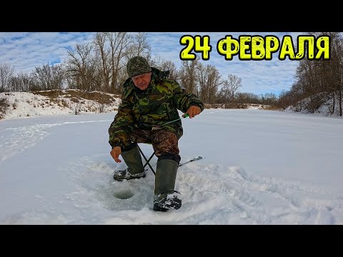 Видео: Рыбалка 24 февраля 2024 на речке.