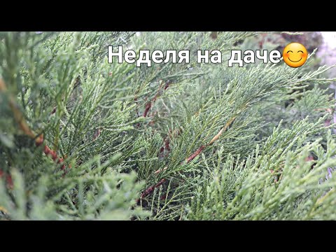 Видео: Неделя на даче со мной😊