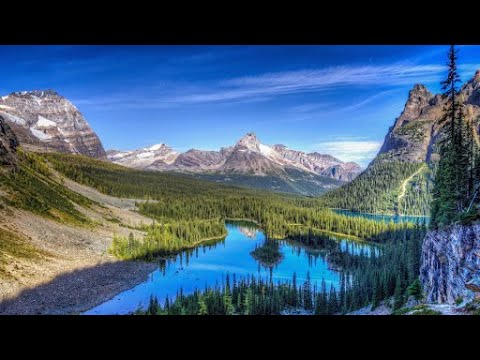 Видео: Семинар по шагам