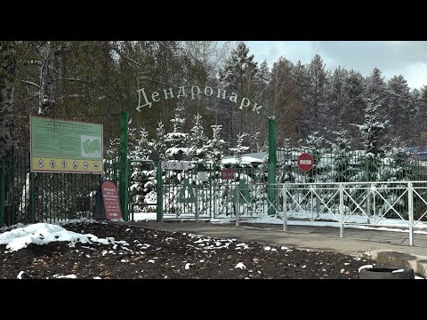 Видео: Новосибирцам напомнили, почему в дендропарке нельзя гулять с собаками // 08.10.25