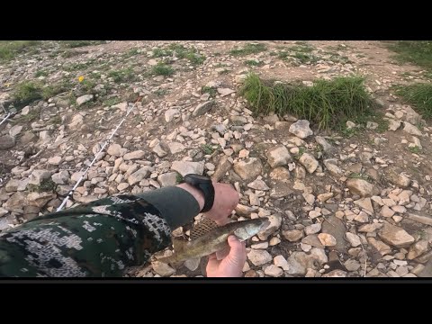 Видео: РЕКА ВЯТКА ЛОВЛЯ НА ФИДЕР,ПОСТАВИЛ ДОНКУ НА СУДАКА РЕЗУЛЬТАТ ХОРОШ