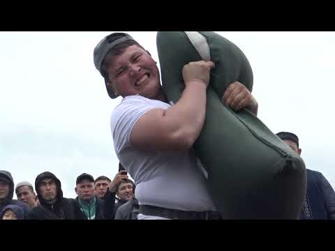 Видео: «Толағай» – Алыптар сайысы