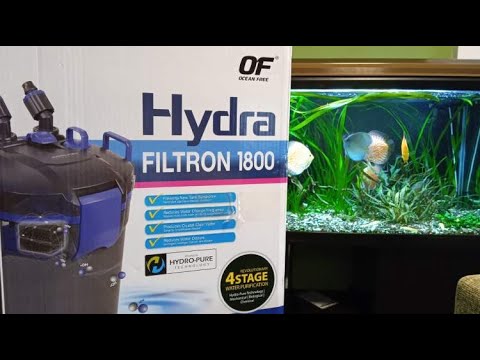 Видео: Внешний Фильтр Hydra Filtron 1800. Аквариумистика без границ. В гостях у Артёма из Испании.