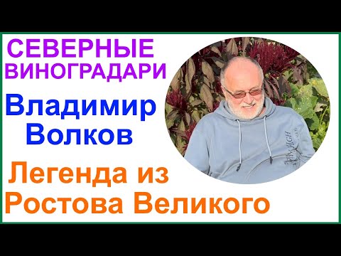 Видео: В гостях у Владимира Волкова. Ответы на вопросы и немного о новинках.