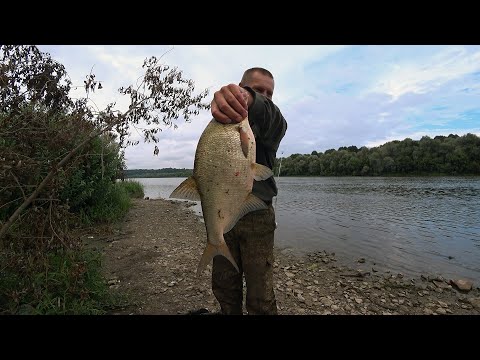 Видео: Ловля  леща на сало с чесноком. Опробуем новый монтаж пружин . Рыбалка с ночевой.