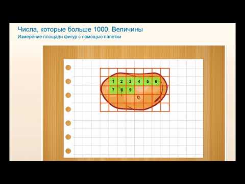 Видео: Измерение площади фигур с помощью палетки. Математика Моро и другие