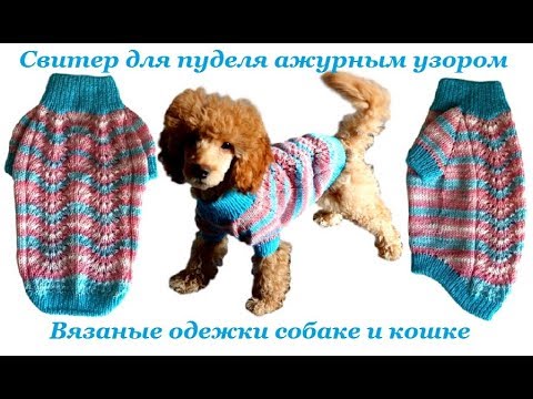 Видео: 13. Свитер для пуделя ажурным узором Павлинье перо