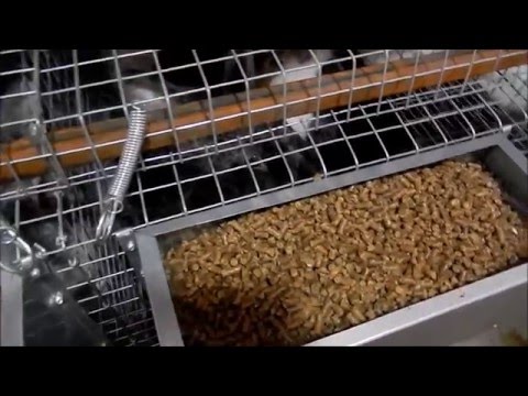 Видео: Комбикорма виды, стоимость и рентабельность