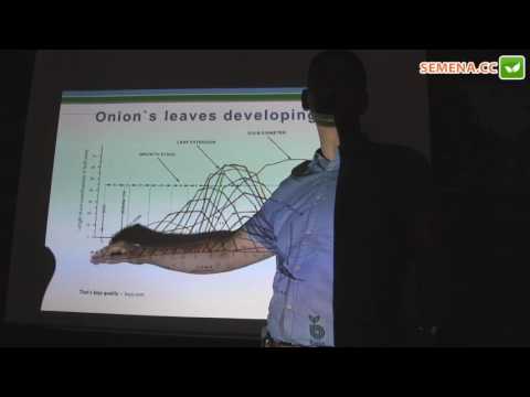 Видео: Особенности выращивания лука (Bejo) День поля 24.08.2016