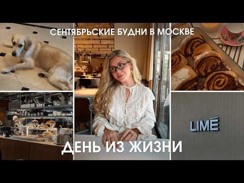 Видео: Влог: любимые бьюти находки, вкусные рецепты и вечер с подругой