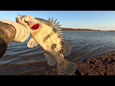 Видео: Ветер рыбалки не помеха. Отличное закрытие сезона. ( часть 1)