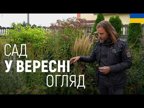 Видео: ЛАНДШАФТНИЙ ДИЗАЙН | САД В ВЕРЕСНІ