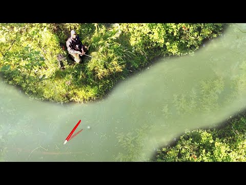 Видео: РУЧЕЙ НЕ ДЛЯ СЛАБОНЕРВНЫХ...ЗОЛОТОЙ В МУТИ на ПОПЛАВОК! Рыбалка на карася 2025