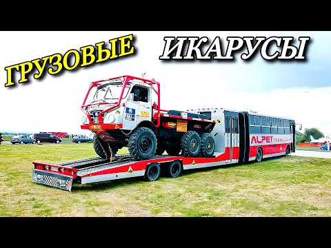 Видео: Эти Икарусы просто шокируют. Грузовые, а не пассажирские