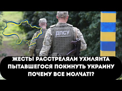 Видео: Хотел покинуть страну и получил пулю. За что?