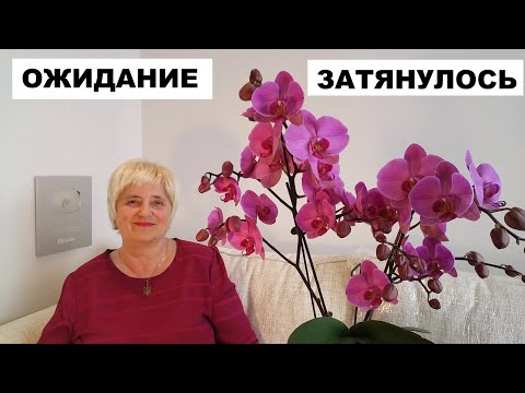 Видео: ОЖИДАНИЕ ЗАТЯНУЛОСЬ..СИДИМ НА ЛАВОЧКЕ