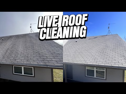 Видео: День из жизни владельца бизнеса по мойке под давлением | Очистка крыш