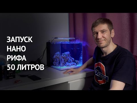 Видео: Запуск с нуля простого нанорифа