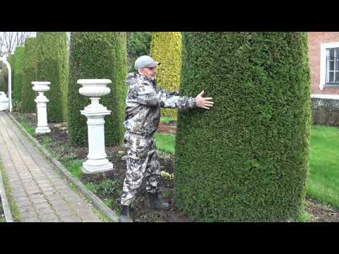 Видео: Сад Николая Дементьева.   История сада. часть 1