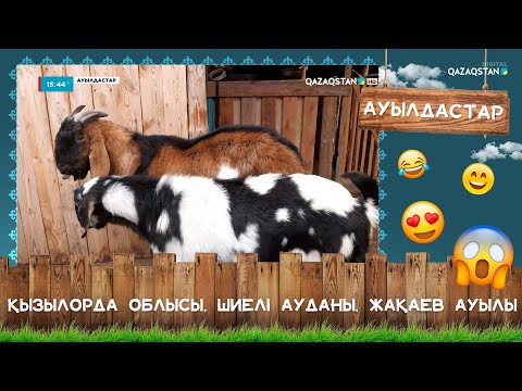 Видео: «Ауылдастар». Қызылорда облысы, Шиелі ауданы, Жақаев ауылы