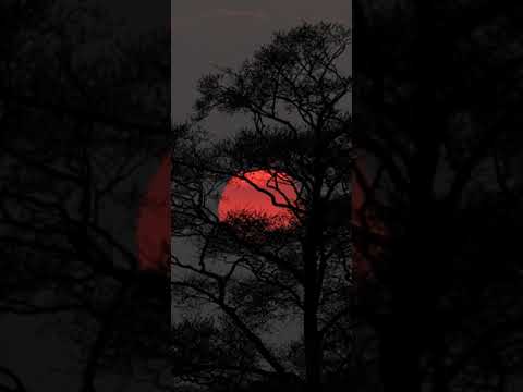 Видео: droba - металлы