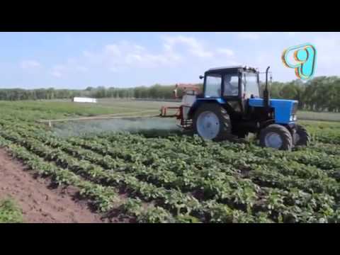 Видео: 'Бизнес с нуля'  Овощи