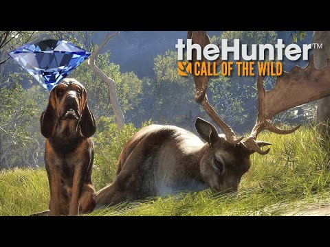 Видео: Австралия - ЛАНЬ на Бриллиант. КРОКОДИЛЫ.  theHunter Call of the Wild # 156