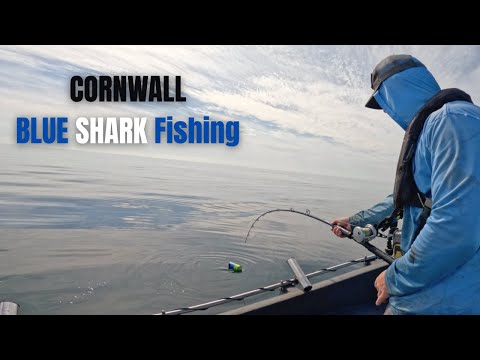 Видео: БЕЗУМНАЯ рыбалка на синих акул у берегов Корнуолла — круглосуточная охота на акул в Великобритании!
