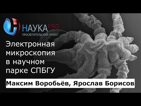 Видео: Электронная микроскопия в научном парке СПБГУ – Максим Воробьёв и Ярослав Борисов | Научпоп