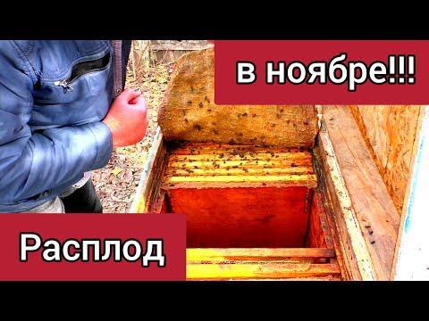 Видео: Самий верный вариант устранения этой проблемы.