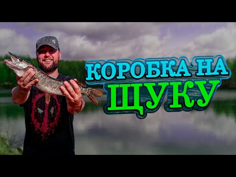 Видео: КАК собрать КОРОБКУ СИЛИКОНОВЫХ приманок для ловли ЩУКИ с берега!НА ЧТО поймать КРУПНУЮ хищную РЫБУ?