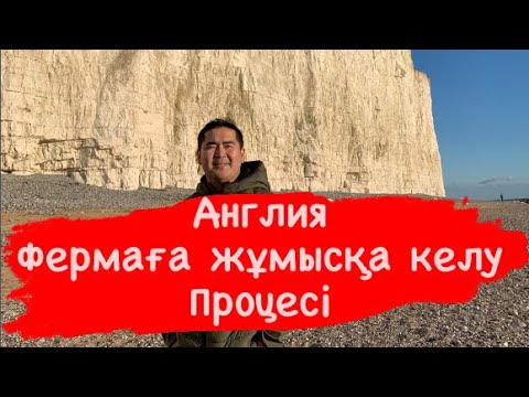 Видео: Англия. Фермаға жұмысқа келу процесі.