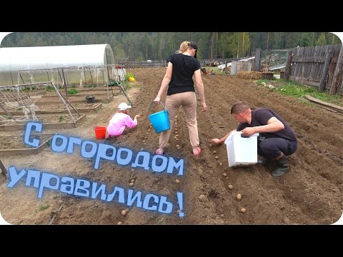 Видео: Как весной потопаешь, так зимой полопаешь. С огородом управились.