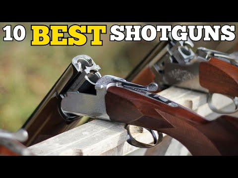 Видео: ТОП-10 лучших ружей для стендовой стрельбы всех времен!