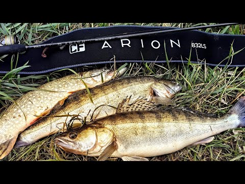 Видео: Arion 832LS.С новым спиннингом за осенним судаком.Примета сработала 🙂