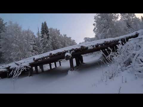 Видео: В тайгу по новым местам. Зимняя красота! Ходовая охота.