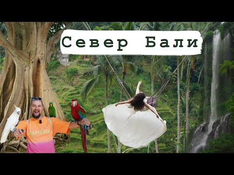 Видео: Бали/Индонезия. Парк птиц и большой водопад. Выпуск 1