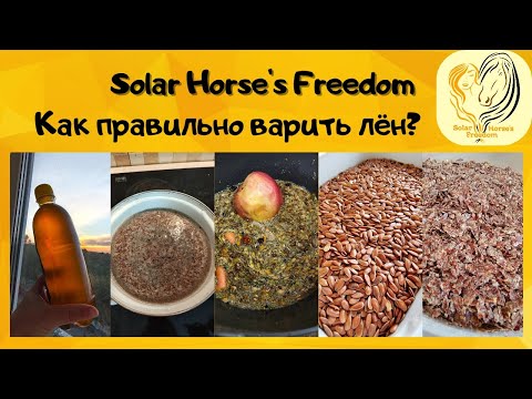Видео: Как правильно давать лён лошадям? Как его варить, можно ли дробить и зачем он вообще нужен?