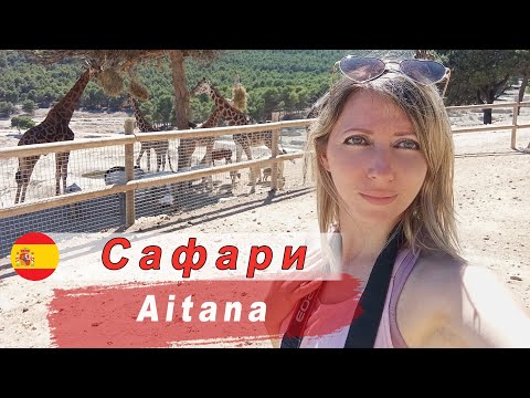 Видео: Сафари Aitana