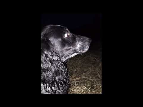 Видео: 🙏ПРОСЛУШАЙТЕ ЭТУ ПЕСНЮ!