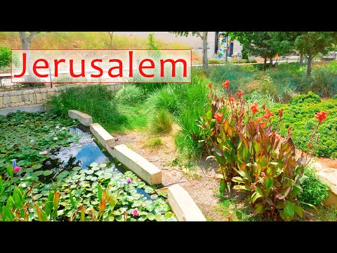 Видео: Иерусалим. Первая станция и прогулка по старым железнодорожным путям. Весь маршрут