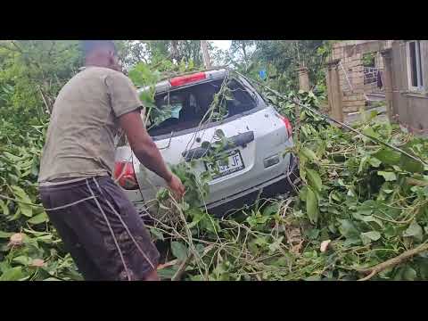 Видео: К счастью, я жив/Что ураган Мелисса сделал с моей машиной