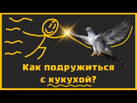 Видео: МЕНТАЛЬНОЕ ЗДОРОВЬЕ - это легко, в принципе
