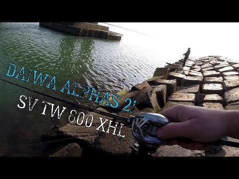 Видео: Daiwa Alphas SV TW 800XHL. Первый взгляд.