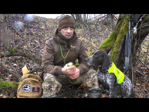 Видео: ОХОТА НА ЗАЙЦА ПО ЧЕРНОТРОПУ